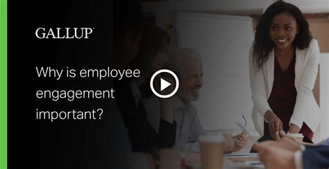 Get The No 1 Employee Engagement Survey Gallup Q12 Gallup