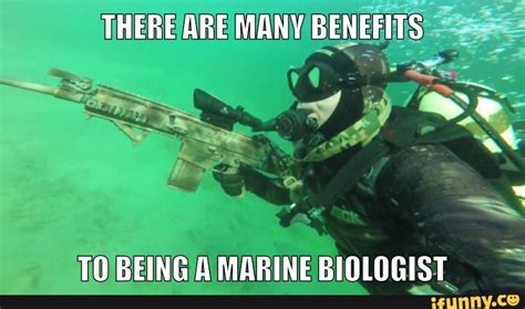 There Are Many Benefits Soses To Being A Marine Biologist Ifunny