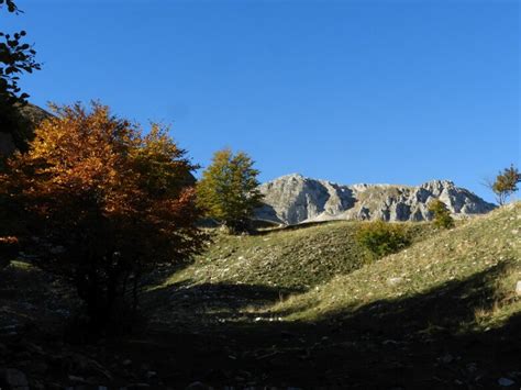 Escursioni Guidate E Trekking Nei Parchi Dabruzzo Jd Trek Trekking