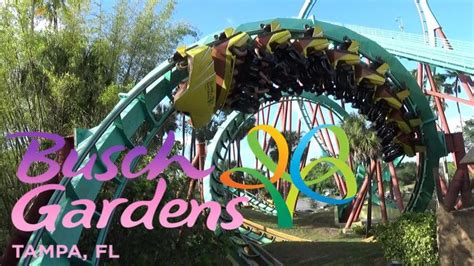 Bush Gardens é o parque mais radical da Flórida venha conhecer suas