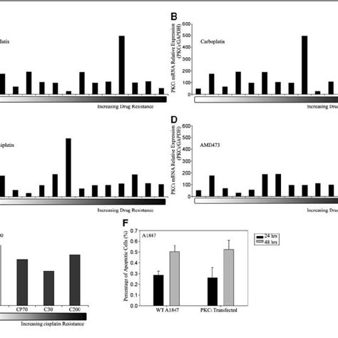 Up Regulation Of Pkc L Mrna In Human Ovarian Cancer A Validation Of