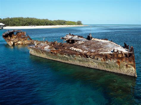 5 Reasons You Should Visit Heron Island Free Two Roam