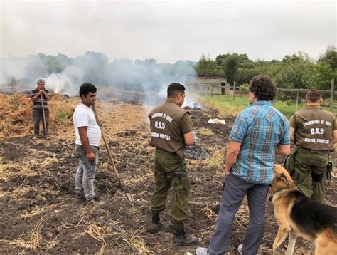 Carabineros Detuvo A Presunto Responsable De Iniciar Un Incendio