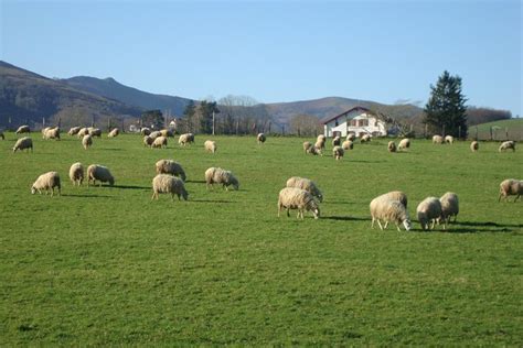 French Basque Countryside Private Tour