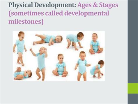 Stages Of Physical Development