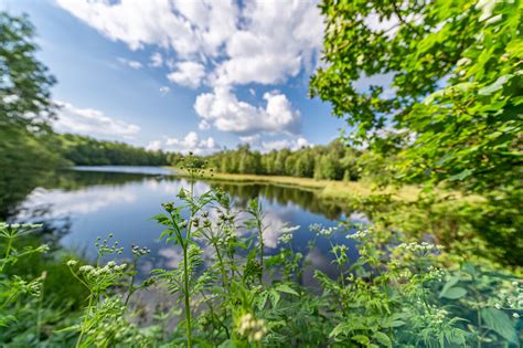 Gravel Runde Von Bischofsheim über Gersfeld und das Rotes Moor Rhön