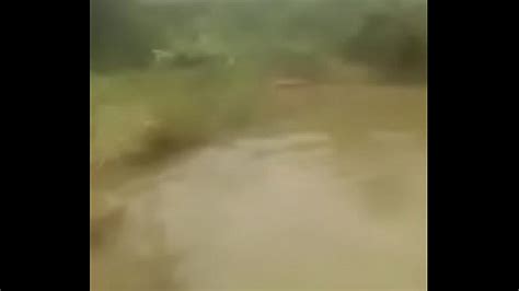 Fairy Bath Free Mobile Porn Videos IPornTV