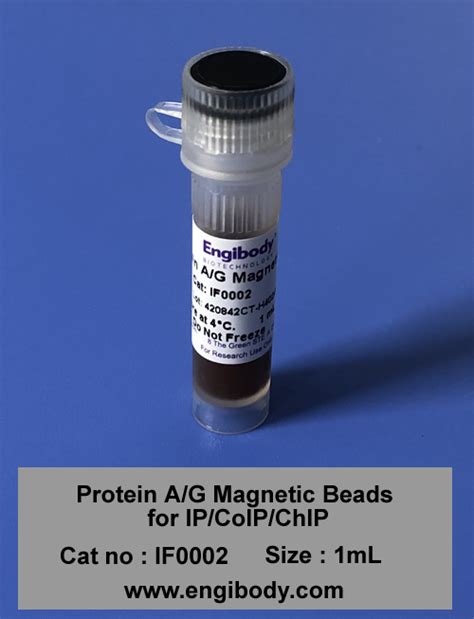 Protein A G Magnetic Beads For Ip Coip Chip