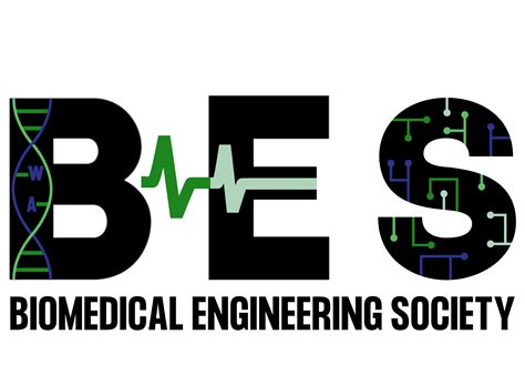Biomedical engineering pay rate increases are attracting students 3