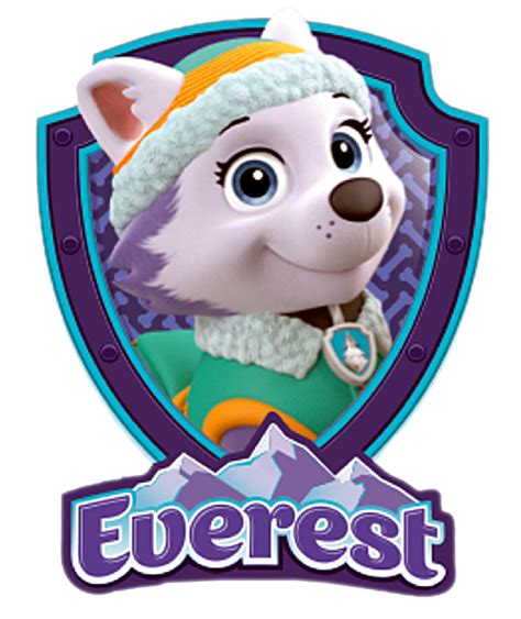 Centro De Mesa Patrulha Canina Rosa Skyie E Everest Png Insignia De