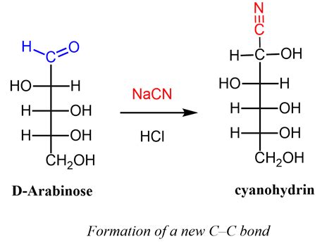 Kiliani Fischer Synthesis Chemistry Steps