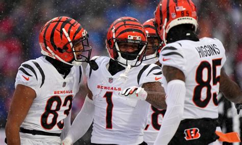 Bengals lead all NFL teams with Super Bowl bets at DraftKings