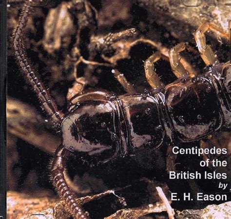 Centipedes Of The British Isles Pisces CD Book Edition NHBS Academic