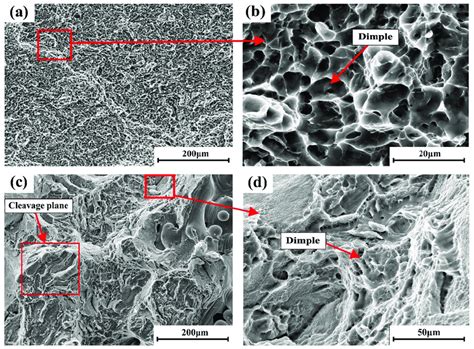 Sem Images Of Fracture Morphology Of Tensile Testing A Thermally