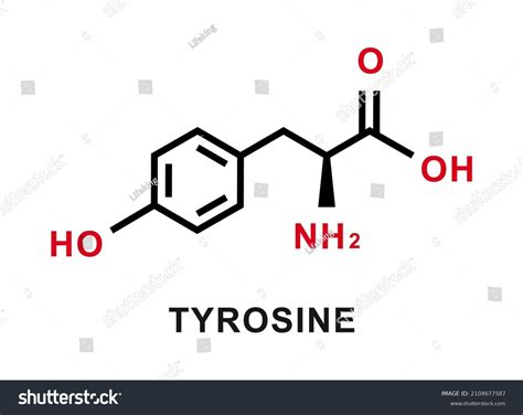 Tyrosine Chemical Formula Tyrosine Chemical Molecular Stock Vector