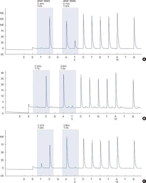 BRAF gene mutation analysis of each tumor tissue by pyrosequencing. The ...