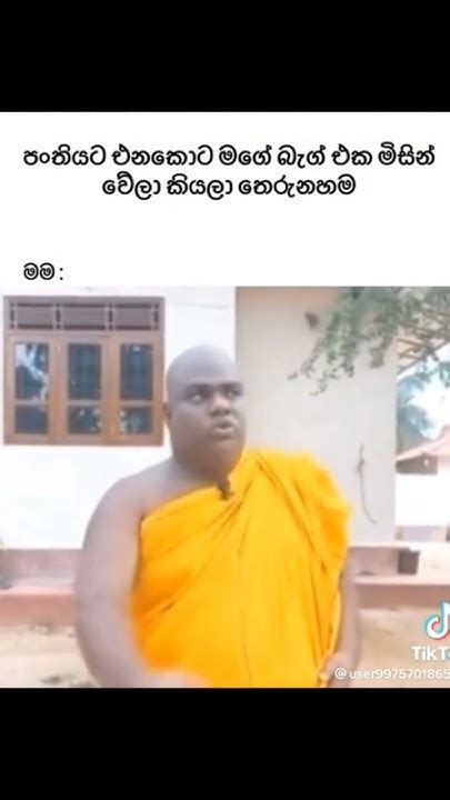 ගෙරි යාලුවො 😂💔 Youtube