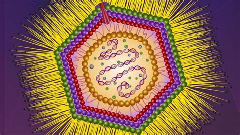 Viral Dark Matter Giant Viruses Have Metabolic Genes Even Though