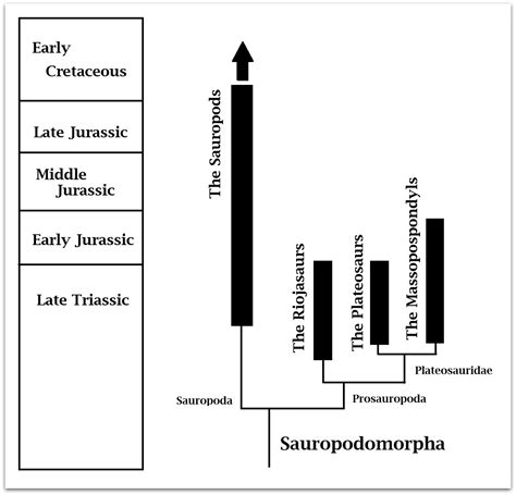 A Mesozoic Field Guide The Prosauropods