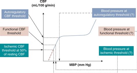 Pathophysiology Of Hypotension