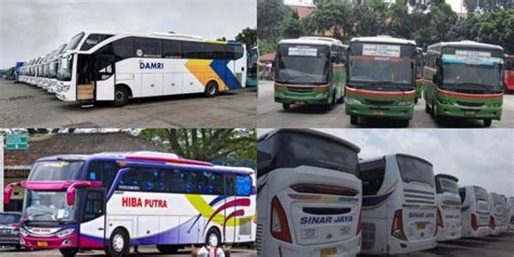 Po Bus Dengan Armada Terbanyak Di Indonesia Nomor Bikin Kaget