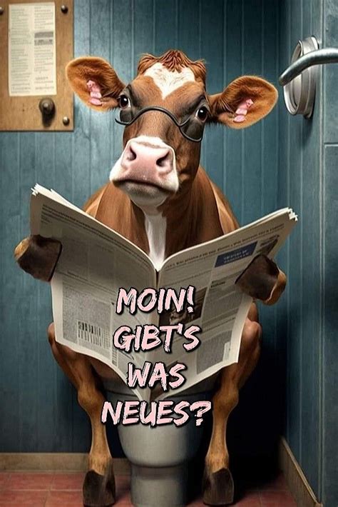 Pin by Sonnenengel on Guten Morgen Gruß Fun Good morning Funny