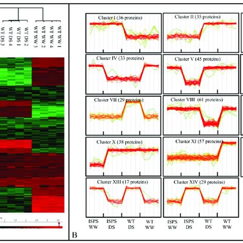 Heat Map A And Hierarchical Clustering B Of Differentially Abundant Download Scientific