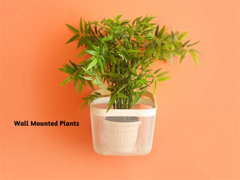 Home Décor With Indoor Plants | Plants, Indoor Gardening | Blooming Secrets