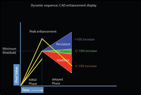 6 Diagnostic Mri Interpretation Radiology Key