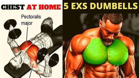 Perfect Chest Workout At Home Programme Musculation Pectoraux Avec Haltères Youtube