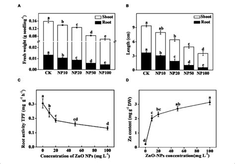 Effect Of Different Concentration Of Zinc Oxide Nanoparticles ZnO