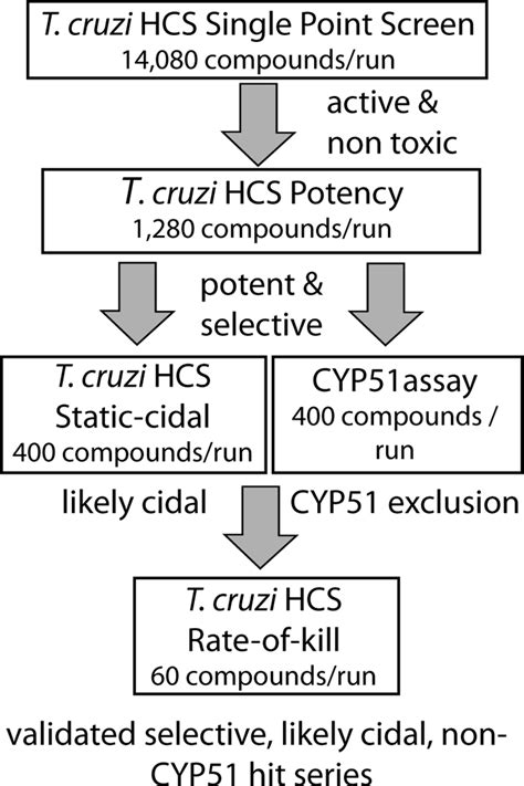 Tcruzi Screening Cascade Schematic Of Tcruzi Screening Cascade Download Scientific Diagram