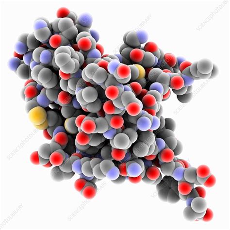 Amyloid Beta Precursor Protein Stock Image C035 5444 Science Photo Library