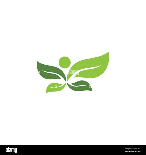 Eco Icon Green Leaf Vector Illustration Isolated Eco Icon Green Leaf