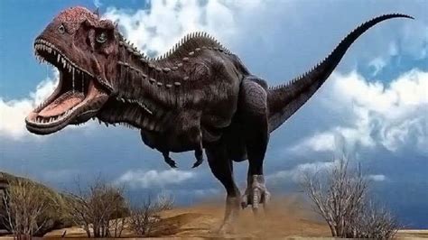 Meteorite impact, not India's Deccan Traps volcanoes, led to dino extinction: Study – India TV