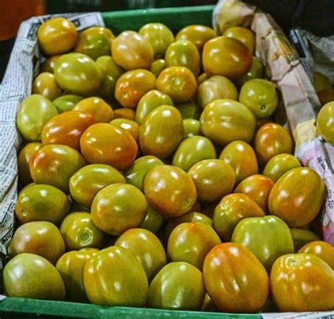 Farm Fresh Tomato at best price in Chennai by Genesis Enterprises | ID ...