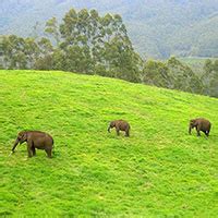 Athirapally Munnar Alleppey Houseboat From Cochin Tour