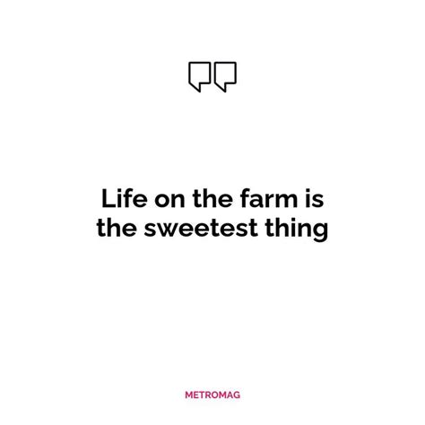 283 Farm Captions And Quotes For Instagram Farm Life Quotes Life Captions Instagram Quotes