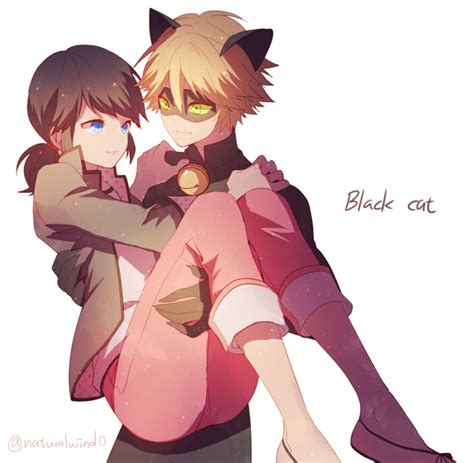 Marinette And Chat Noir Miraculous Ladybug Fan Art 39329020 Fanpop