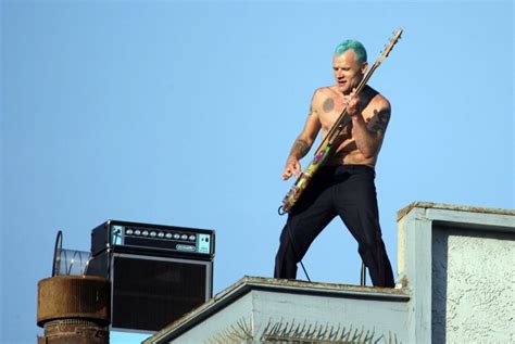 Red Hot Chili Peppers Grava Clipe De The Adventures Of Rain Dance Maggie