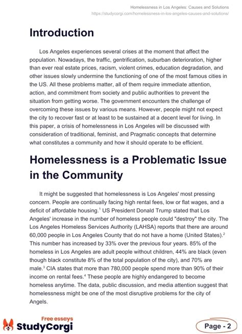 Homelessness In Los Angeles Causes And Solutions Free Essay Example