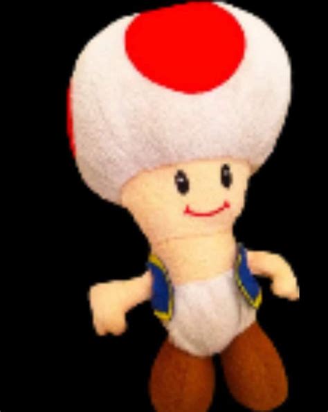 Toad Wiki Supermariologan Amino Amino