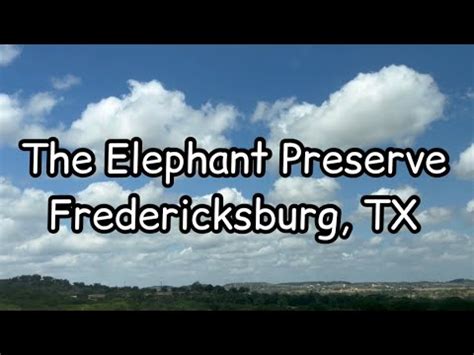 We Went To The Elephant Preserve In Fredericksburg Texas Youtube