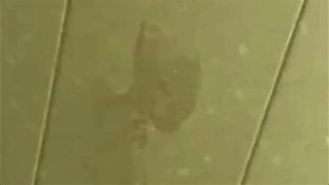 Man Finds Ghostly Footprints On His Home Ceiling Youtube