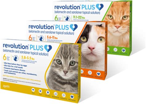 Feline Revolution Plus - Albemarle Animal Clinic