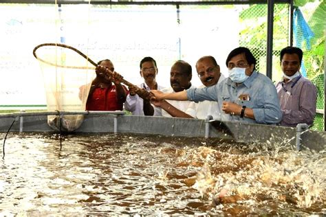 Kerala SC community reaps benefits of biofloc fish farming