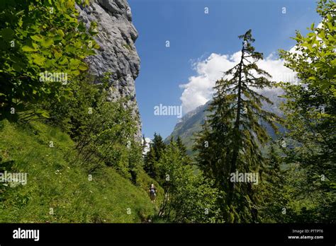 Landscape View With A Female Hiker On A Footpath Trail Through Forests