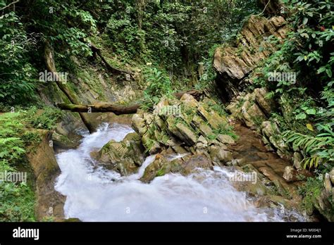 Waterfall In A Lush Rainforest Vegas Grande Waterfall In Topes De