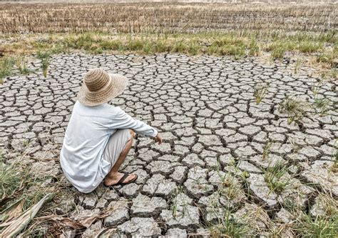 Crise Climática No Mundo Redação ENSINO