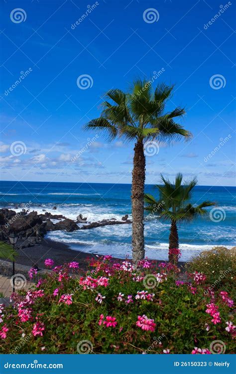 Playa Jardin, Tenerife, Spain Stock Image - Image of calm, black: 26150323